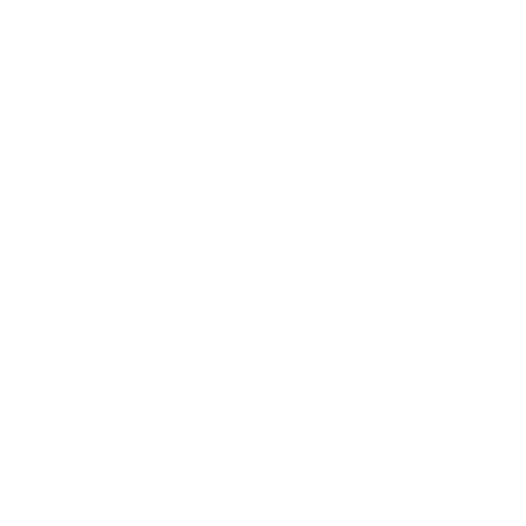 Logo White